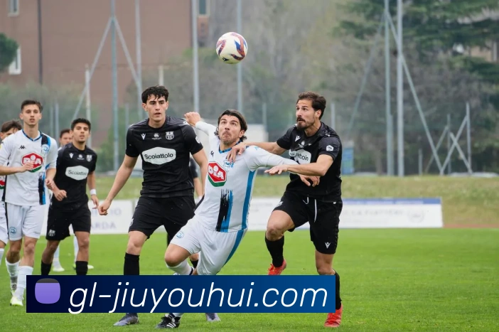 J9九游会官网APP 封面图